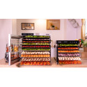 Deshidrator cu 6 tăvi Biovita DELUXE-6, carcasă și tăvi din inox de 33x31 cm
