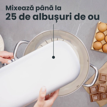 Mixer profesional cu bol TITAN, 11L, 2000W, motor silențios cu inducție, accesorii inox 6