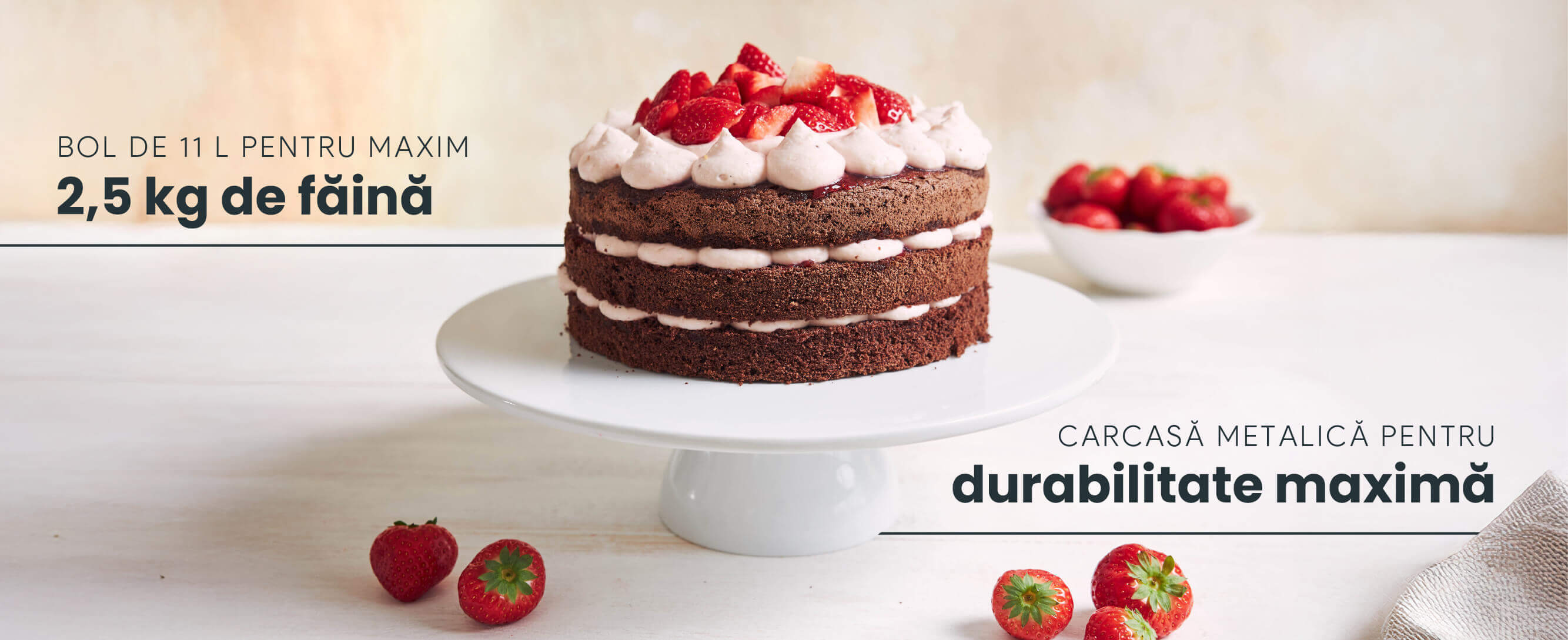 Mixer profesional cu bol TITAN, 11L, 2000W, motor silențios cu inducție, accesorii inox - 2